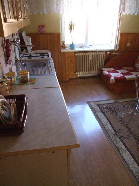 DRAŽBA 13.06.2014 o 10.00 hod., 2 izbový byt Snina, okres Snina - náhľad