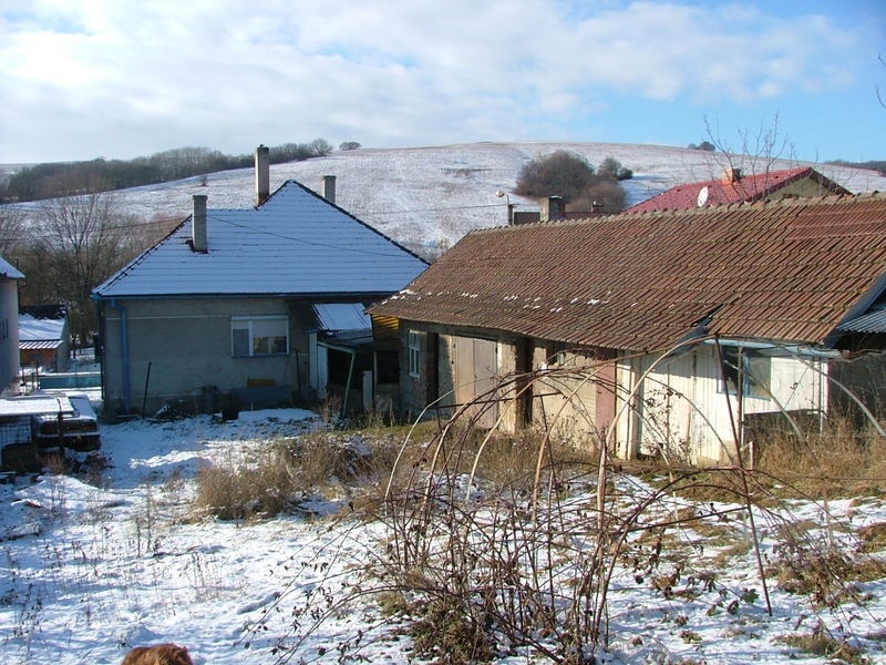 DRAŽBA 19.01.2012 o 11.00 hod., rodinný dom v Sobotišti - náhľad