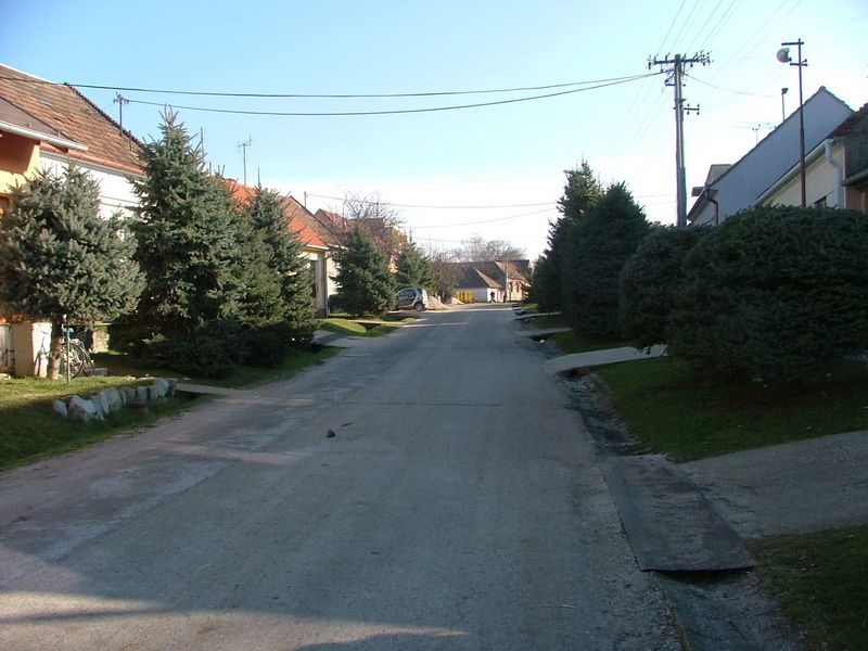 DRAŽBA 16.05.2011 o 10.30 hod., rodinný dom v Dolnej Krupej - náhľad