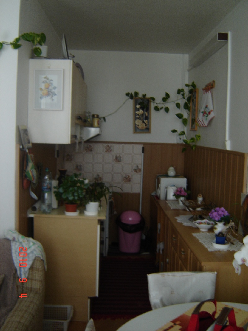 DRAŽBA 14.05.2015 o 10.00 hod., 2 izbový byt Veľké Kapušany, okres Michalovce - náhľad