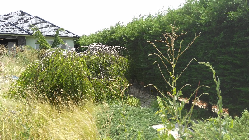 DRAŽBA 06.09.2016 o 11.00 hod., rodinný dom Úľany nad Žitavou, okres Nové Zámky - náhľad