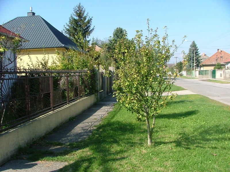 DRAŽBA  rodinný dom v Lehniciach - Malý Lég - náhľad