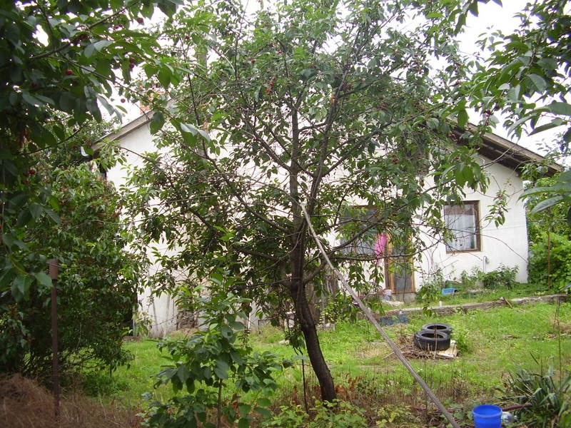 DRAŽBA 09.07.2015 o 13.00 hod., rodinný dom Martovce, okres Komárno - náhľad