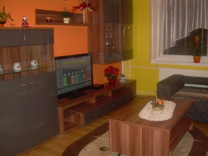 DRAŽBA 30.01.2015 o 10.00 hod., 2 izbový byt Dolný Kubín, okres Dolný Kubín - náhľad
