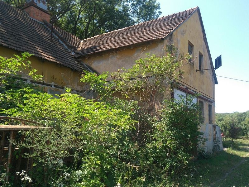 DRAŽBA 06.11.2017 o 10.00 hod., maštaľ, sklad obilia Santovka, okres Levice  - náhľad