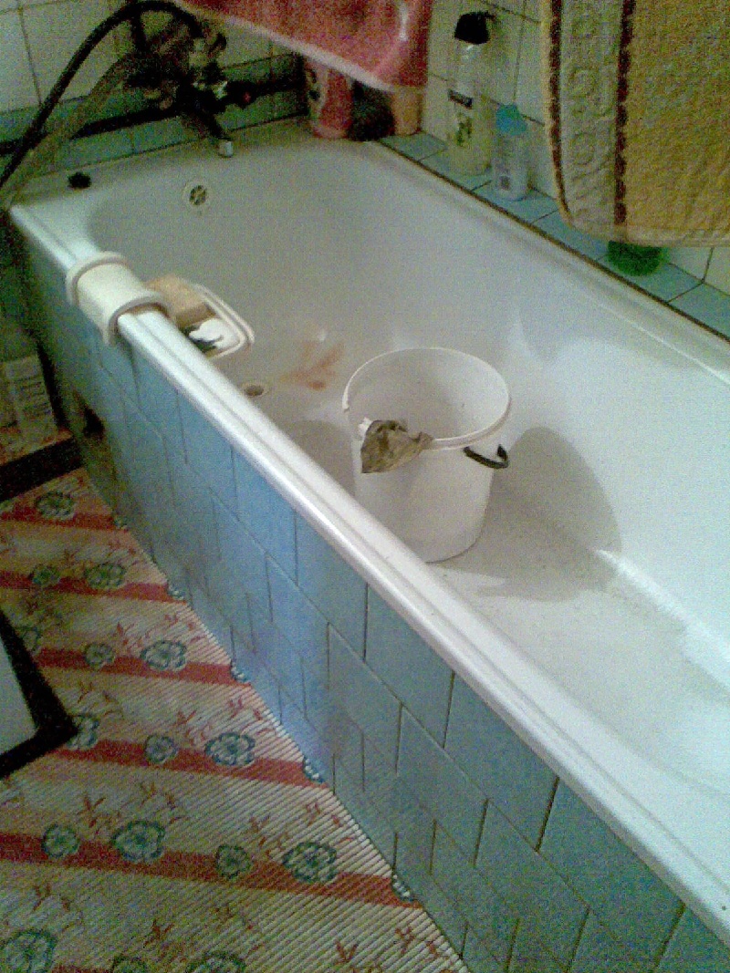 UPUSTENÉ!!!!!! DRAŽBA 07.11.2011 o 10.30 hod., 2 izbový byt v Prešove - náhľad
