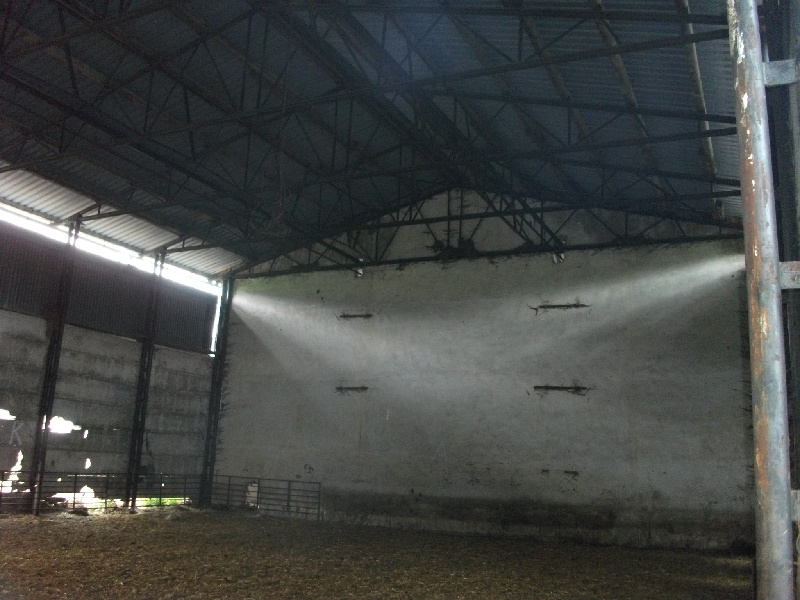 DRAŽBA 03.08.2017 o 10.00 hod., roľnícko obchodné družstvo Stará Bystrica, okres Čadca - náhľad