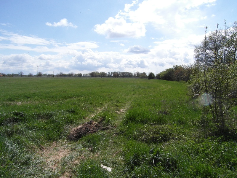 DRAŽBA 18.07.2014 o 11.00 hod., hydináreň, kravín, prevádzková budova, pozemky Nová Dedinka, okres Senec  - náhľad
