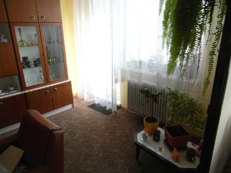 DRAŽBA 23.02.2017 o 12.00 hod., 3 izbový byt Snina, okres Snina - náhľad