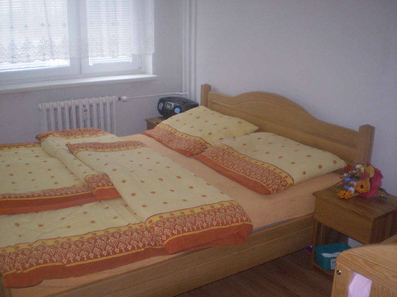 DRAŽBA 22.01.2016 o 10.00 hod., 3 izbový byt Piešťany, okres Piešťany - náhľad