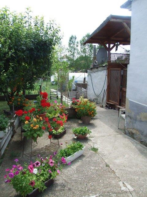 DRAŽBA 09.10.2014 o 10.00 hod., rodinný dom Bátorove Kosihy, okres Komárno - náhľad