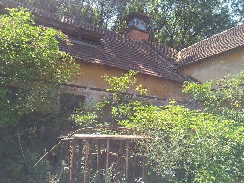 DRAŽBA 06.11.2017 o 10.00 hod., maštaľ, sklad obilia Santovka, okres Levice  - náhľad
