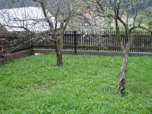 DRAŽBA 04.06.2015 o 10.00 hod., rodinný dom Korňa, okres Čadca - náhľad