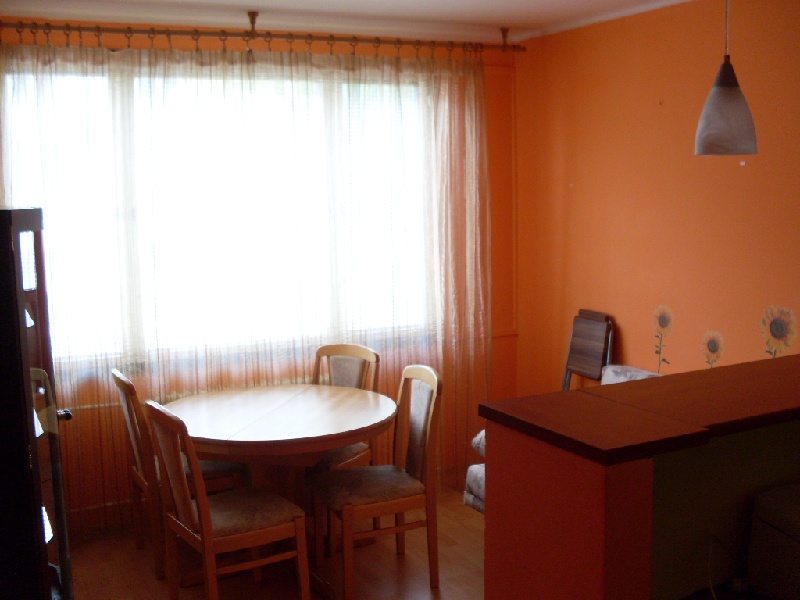 DRAŽBA 26.11.2012 o 10.00 hod., 1 izbový byt v Novej Dubnici, okres Ilava - náhľad