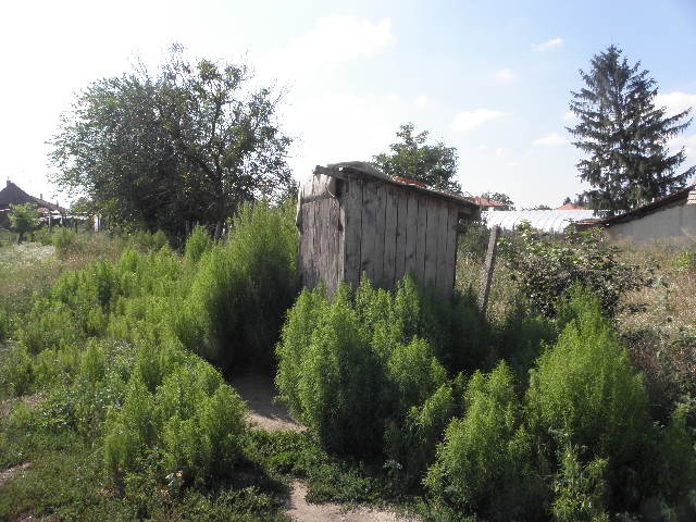 DRAŽBA 09.06.2015 o 14.00 hod., rodinný dom Pribeta, okres Komárno - náhľad