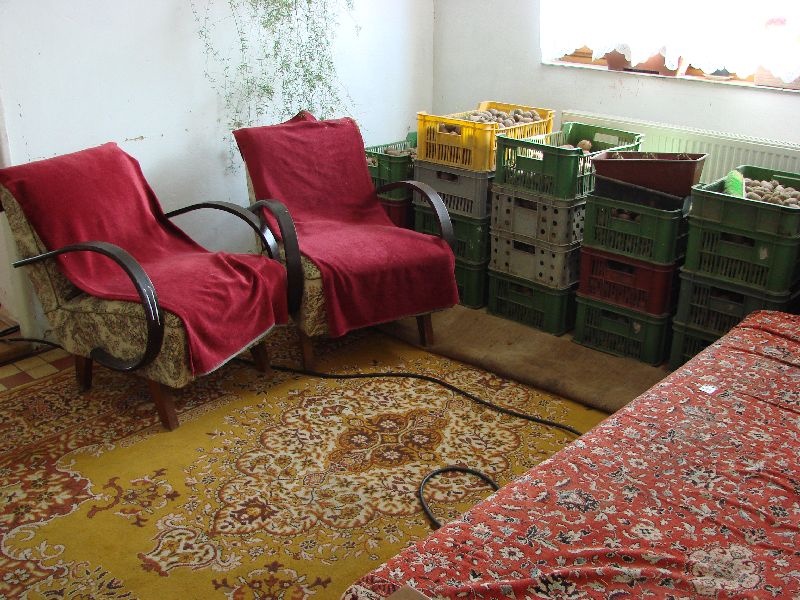 Rodinný dom Drahňov, okr. Michalovce - náhľad