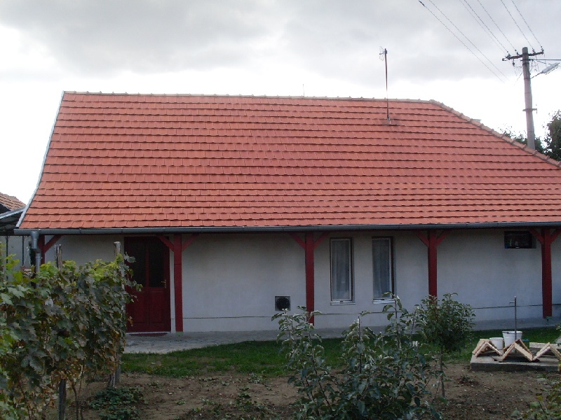 !!!UPUSTENÉ!!! DRAŽBA 14.02.2013 o 10.00 hod., rodinný dom v Kráľovej nad Váhom, okres Šaľa