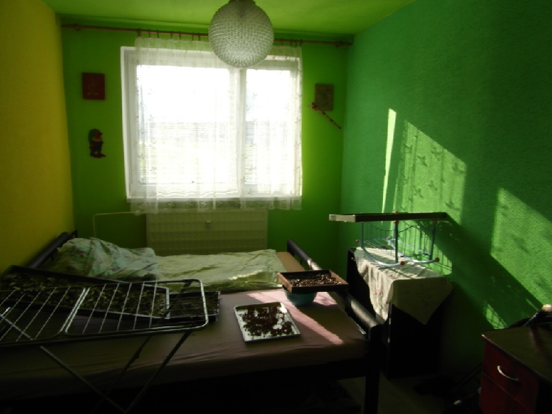 DRAŽBA 29.02.2016 o 13.00 hod., 3 izbový byt Banská Štiavnica, okres Banská Štiavnica - náhľad