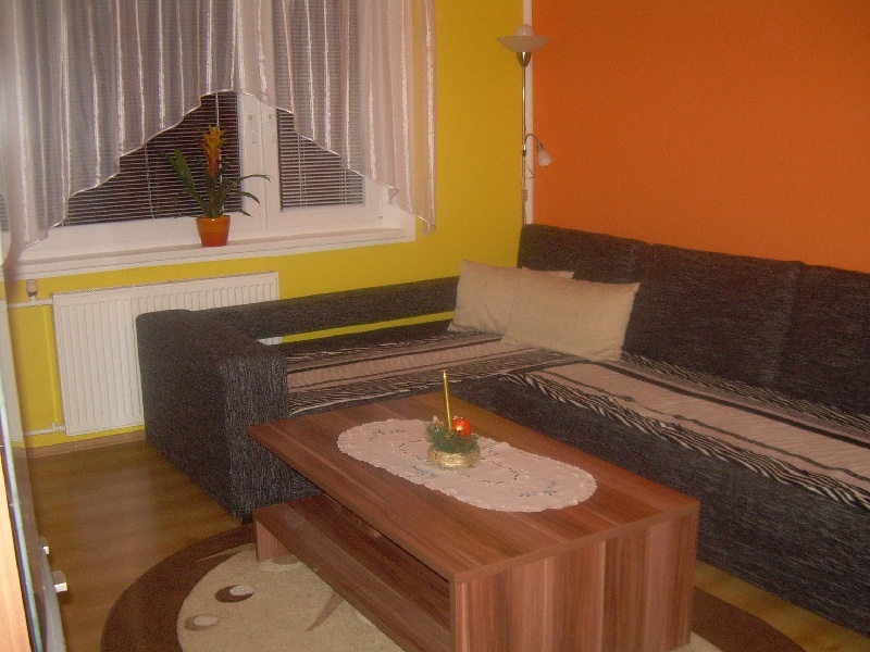 DRAŽBA 30.01.2015 o 10.00 hod., 2 izbový byt Dolný Kubín, okres Dolný Kubín - náhľad