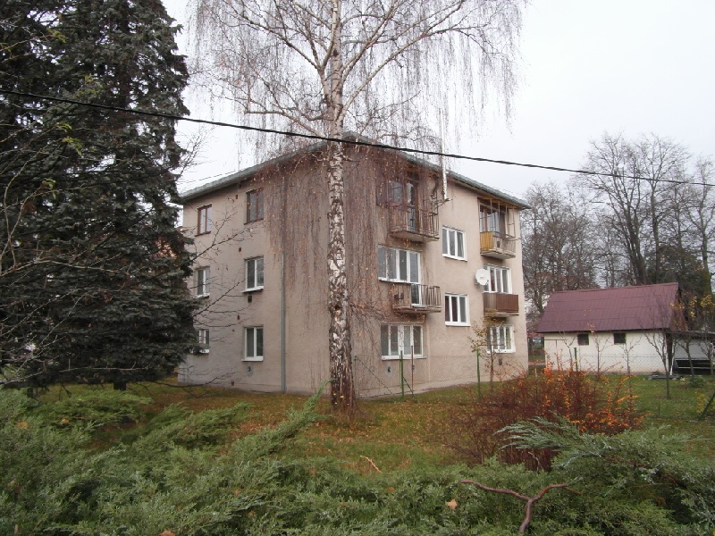 DRAŽBA 20.02.2013 o 10.00 hod., 1 izbový byt v Dubnici nad Váhom, okres Ilava - náhľad