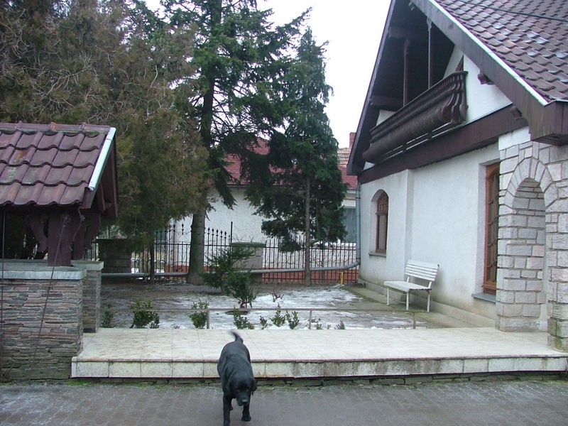 DRAŽBA 26.04.2011 o 13.00 hod., rodinný dom v Somotore - náhľad