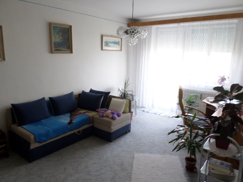 UPUSTENÉ !!! DRAŽBA 25.04.2016 o 14.00 hod., 3 izbový byt Šahy, okres Levice - náhľad