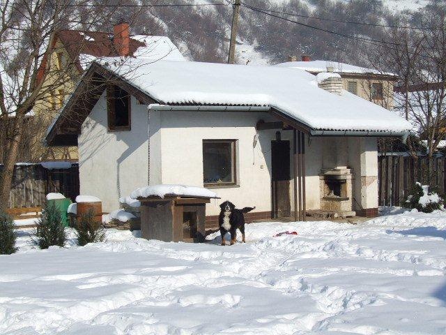 DRAŽBA 26.04.2012 o 10.00 hod., rodinný dom v Starej Ľubovni - náhľad