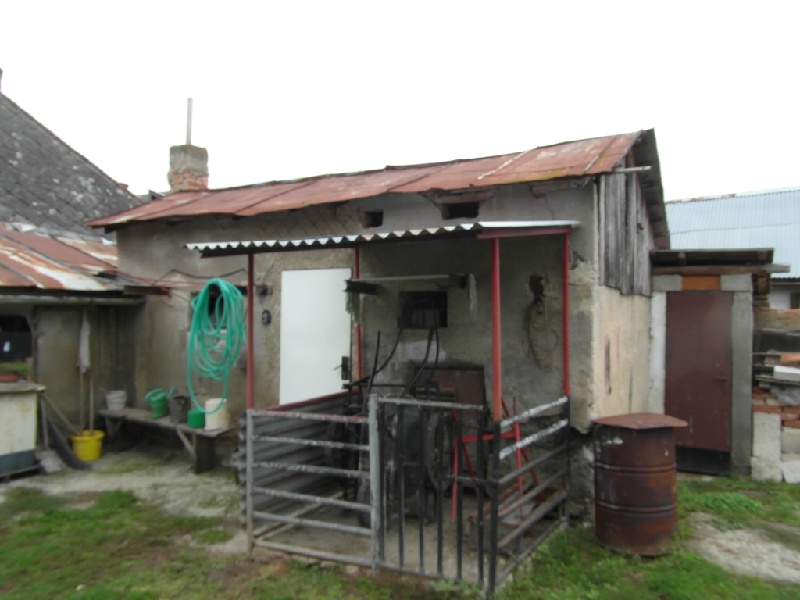 UPUSTENÉ!!! DRAŽBA 03.05.2016 o 11.00 hod., rodinný dom Zemplínska Nová Ves, okres Trebišov - náhľad