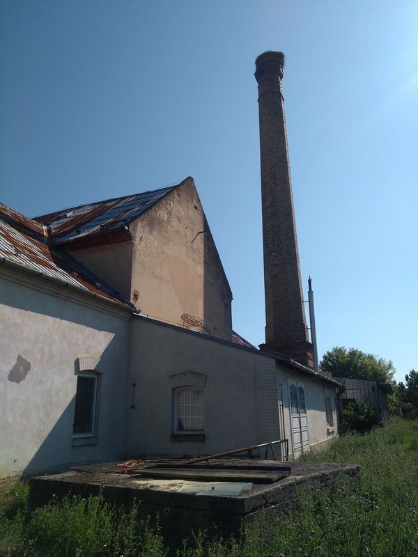 DRAŽBA 26.10.2017 o 10.00 hod., liehovar Veselé, okres Piešťany - náhľad