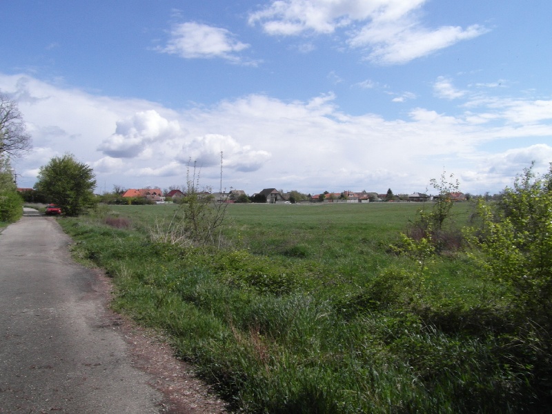 DRAŽBA 18.07.2014 o 11.00 hod., hydináreň, kravín, prevádzková budova, pozemky Nová Dedinka, okres Senec  - náhľad