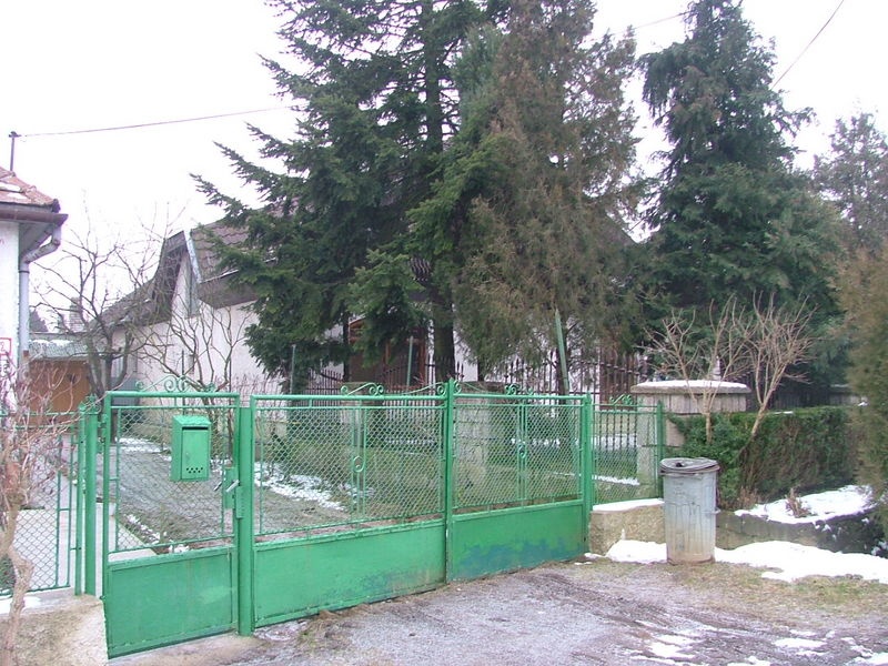 DRAŽBA 26.04.2011 o 13.00 hod., rodinný dom v Somotore - náhľad