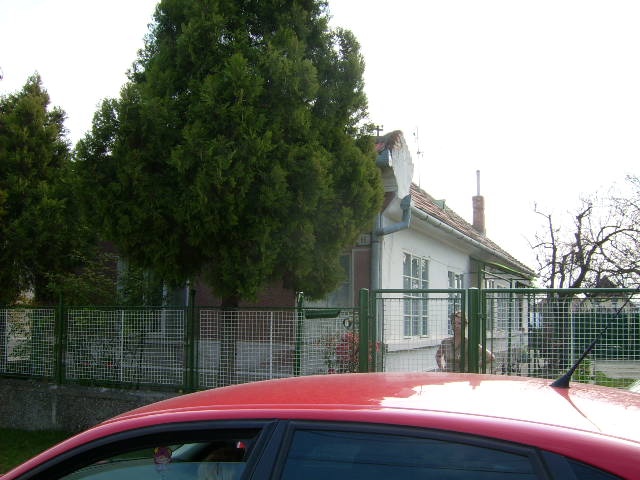 Rodinný dom Kravany nad Dunajom, okr. Komárno