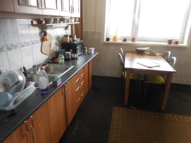 Prvá dražba: Rodinný dom: Rodinný dom súp.č.19 na parc.č.395/1 k.ú.Lúka  - náhľad