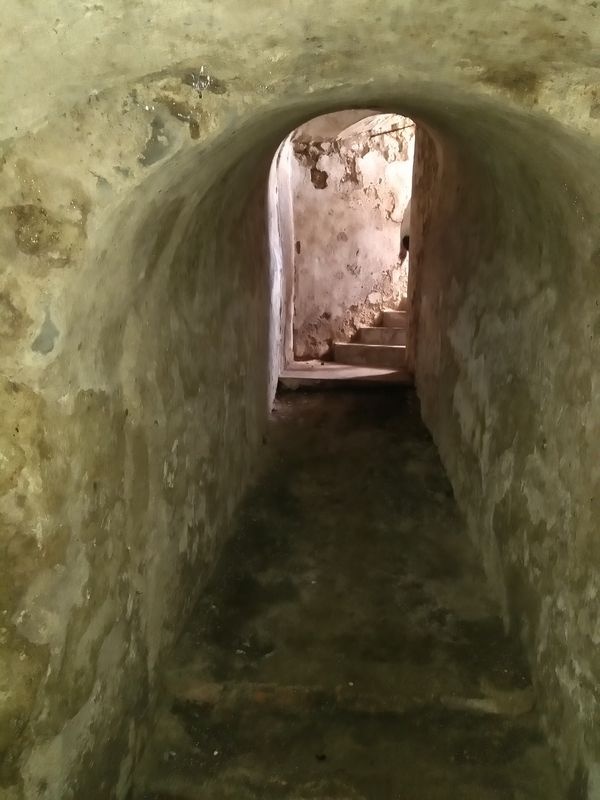 DRAŽBA 06.11.2017 o 10.00 hod., maštaľ, sklad obilia Santovka, okres Levice  - náhľad